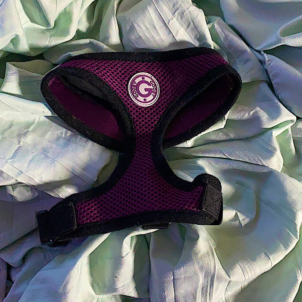 Gooby Small Dog Harness
